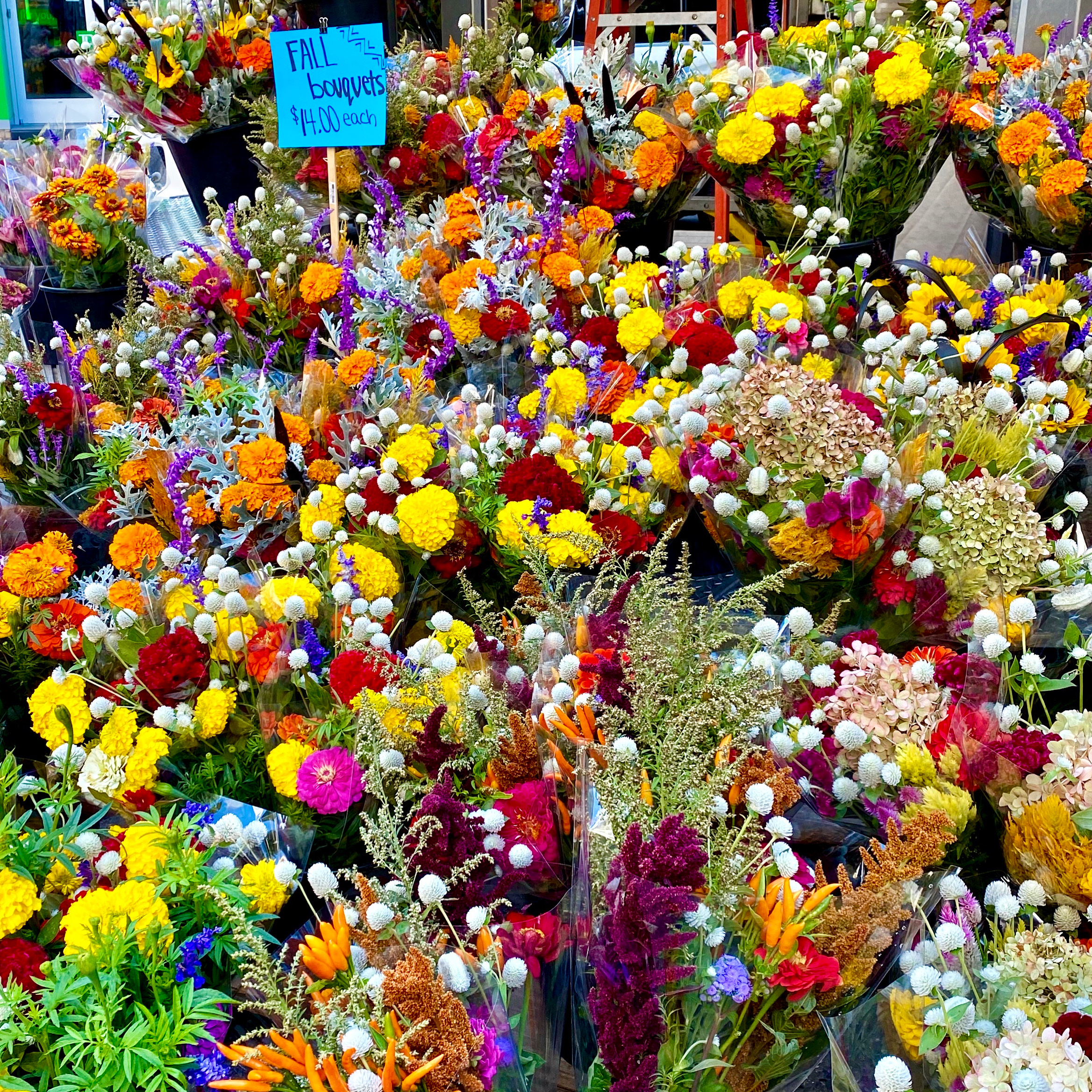 Flowers for sale