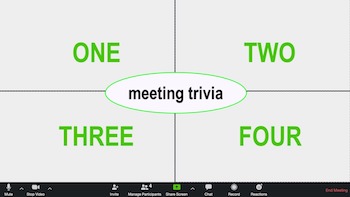 video conference call screen