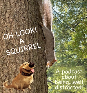 look! a squirrel