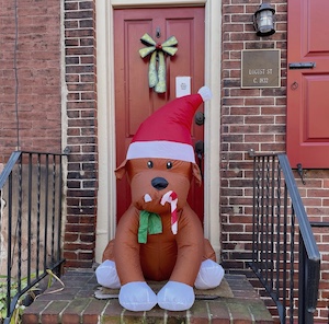 Blow up Christmas Dog