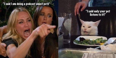 Cat meme about pet podcasts