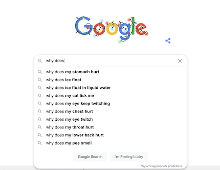Google Search Screenshot