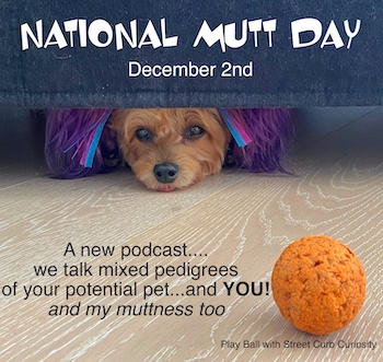 national mutt day