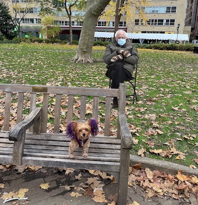 Dog and Bernie in park