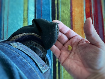 dog treat in pants pocket