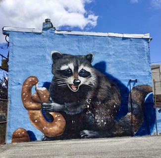 Street mural art of a raccoon with a pretzel in Philadelphia