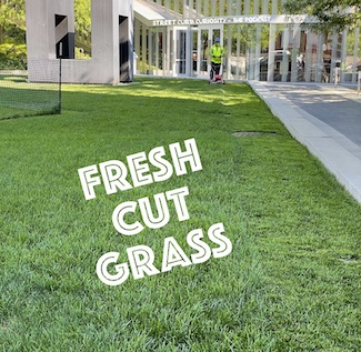 fresh cut grass