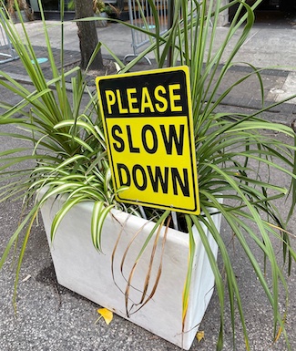 slow down and help someone