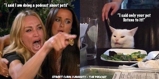 famous cat meme used to promote a podcast about dogs