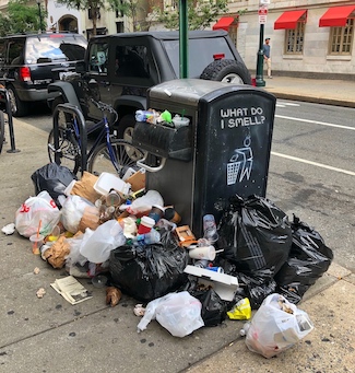 smelly garbage on a hot summer day