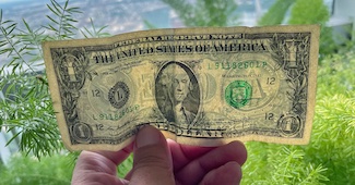 a one dollar bill with a background of green house plants