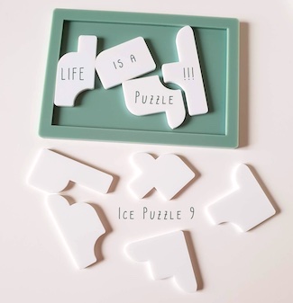 the hardest puzzle in the world: Ice Puzzle 9