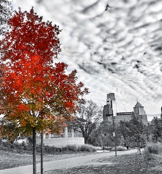 Fall leaves change in Philadelphia