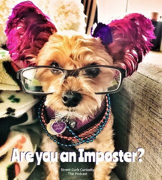 photo of puppy wearing glasses to promote podcast about imposter syndrome
