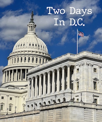 Capitol building in DC on a sunny day to promote a podcast by Street Curb Curiosity