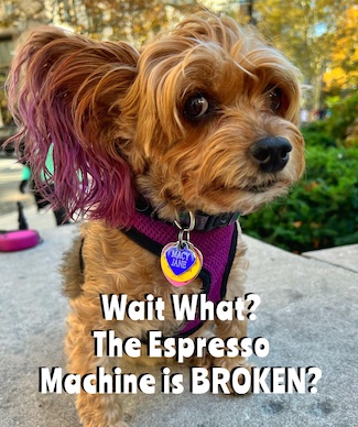 Puppy asking if coffee machine is broken for National Espresso Day