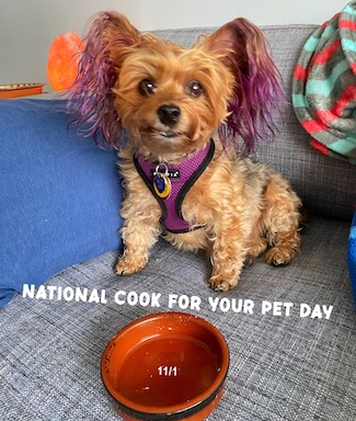 National cook for your pet day with Puppy Macy Jane 