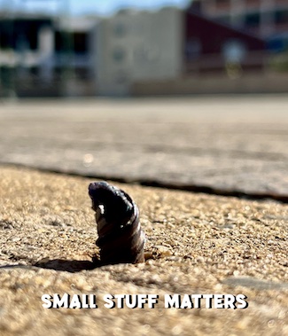 steel spike in sidewalk on street in Philadelphia