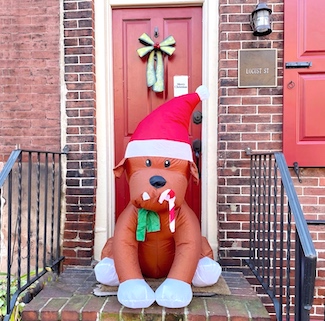 inflatable dog for Christmas decorations.
