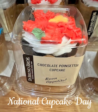 Chocolate Cupcake for National cupcake Day from DiBruno Brothers in Philadelphia