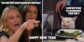 famous cat meme about New Years 2022
