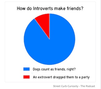 a pie chart concerning how introverts make friends