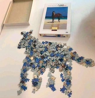 puzzle pieces put together to create an image of a horse in a unique way.