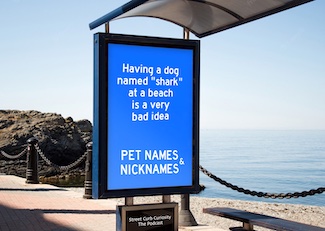 sign at beach about a dog name for podcast Street Curb Curiosity