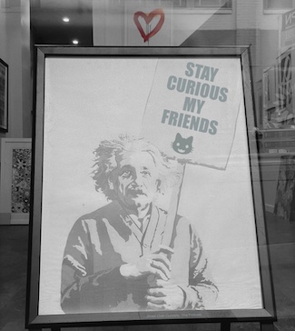a black and white drawing of Albert Einstein in a store window, to highlight curiosity 