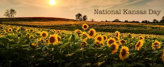 Sunflower fields in Kansas for a blog about National Kansas Day