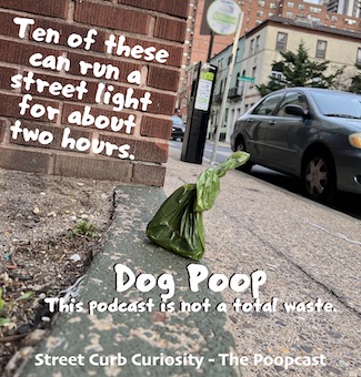 a dog poop bag on the street ton highlight the podcast episode from Street Curb Curiosity.