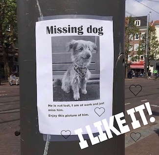 A "missing dog" poster that will make you smile.