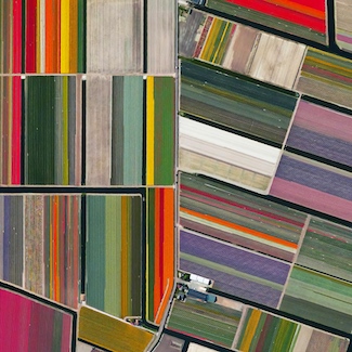 Beautiful tulip fields in Holland from 100 miles up to demonstrate perspective for the blog from www.caremoretoday.com 
