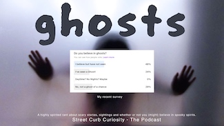 a survey result if you believe in ghosts for a podcast from street curb curiosity
