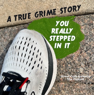 white sneaker stepping in green yucky stuff for a podcast about the things we step in, from Street Curb Curiosity The Podcast