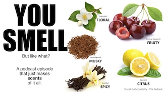 A podcast about smell...and what you smell like.  plus what you like to smell like.  From Street Curb Curiosity, the podcast.