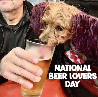 Puppy Macy Jane enjoying a taste of a beer for National Beer Lovers Day in September