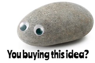 a funny idea became a business success: pet rocks, an idea about funny ideas from the daily thought blog www.caremoretoday.com