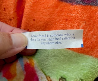 A fortune about a friend and true friends from a cookie and from your daily thought blog www.caremoretoday.com