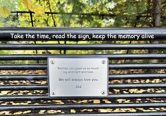 a memorial plaque on a park bench in Philadelphia for a thought about memories from the daily blog www.caremoretoday.com