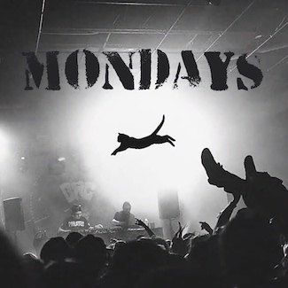 A cat flying through the air at an indoor concert to highlight the chaos of a Monday, from the daily thought blog www.caremoretoday.com