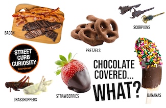 various things we eat that are chocolate covered: bananas, strawberries, pretzels, bacon, scorpions and grasshoppers! What? A quick podcast about them all from street curb curiosity