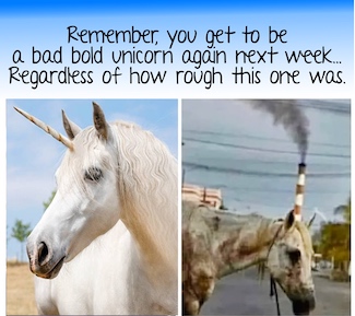 a magical unicorn and a horse having a rough week to help you get through a rough week from the daily thought blog www.caremoretoday.com