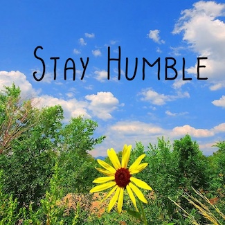 a single yellow flower in a group of bushes on a sunny blue sky day, for the thought of stay humble, from. the daily blog www.caremoretoday.com