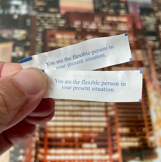a pair of fortunes from a fortune cookie for an idea about your goals, from the daily thought blog www.caremoretoday.com