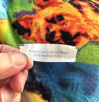 a fortune about security in 2023 from the daily thought blog www.caremoertoday.com