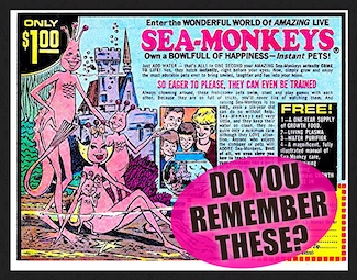 a print ad from a comic book in the 1960's for sea monkeys for kids