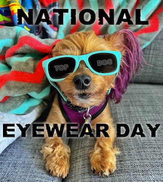 puppy Macyjane wearing a fun green pair of sunglasses for national eyewear day in June.