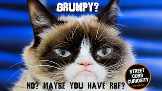 the famous grumpy cat for national do a grouch a favor day, and a podcast from street Curb Curiosity