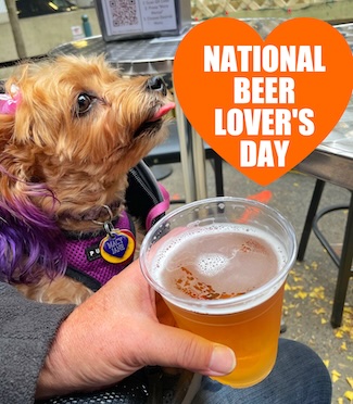 a cute pup sitting next to a man holding a beer